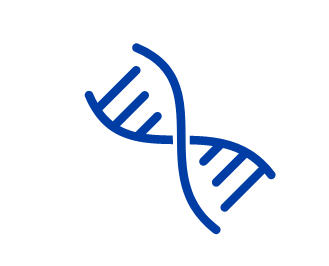 DNA helix